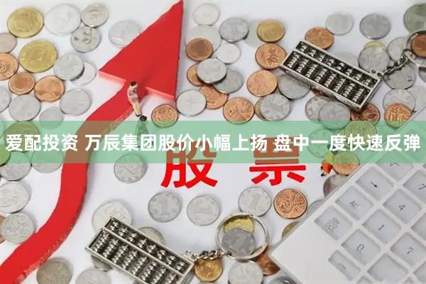 爱配投资 万辰集团股价小幅上扬 盘中一度快速反弹