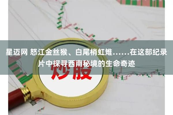 星迈网 怒江金丝猴、白尾梢虹雉……在这部纪录片中探寻西南秘境的生命奇迹