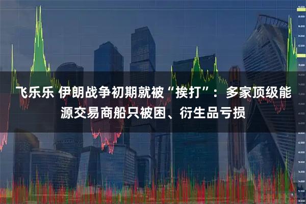 飞乐乐 伊朗战争初期就被“挨打”:多家顶级能源交易商船只被困、衍生品亏损