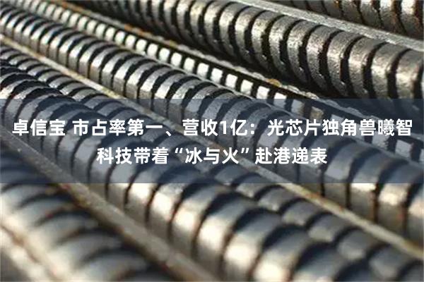 卓信宝 市占率第一、营收1亿：光芯片独角兽曦智科技带着“冰与火”赴港递表