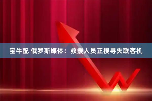 宝牛配 俄罗斯媒体:救援人员正搜寻失联客机