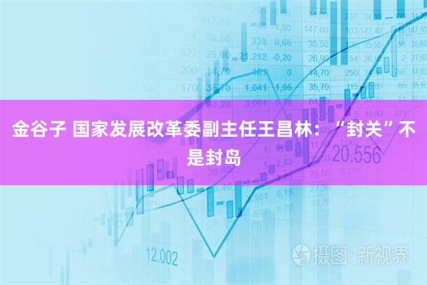 金谷子 国家发展改革委副主任王昌林：“封关”不是封岛