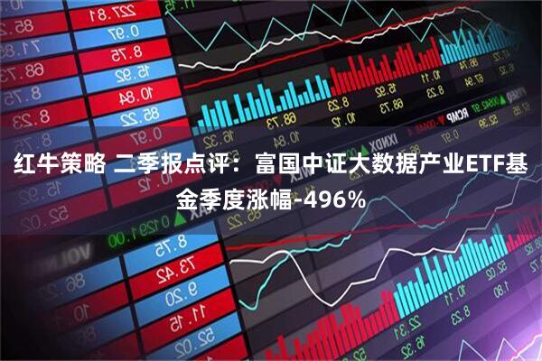 红牛策略 二季报点评：富国中证大数据产业ETF基金季度涨幅-496%