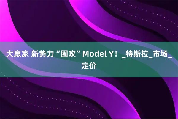 大赢家 新势力“围攻”Model Y!_特斯拉_市场_定价