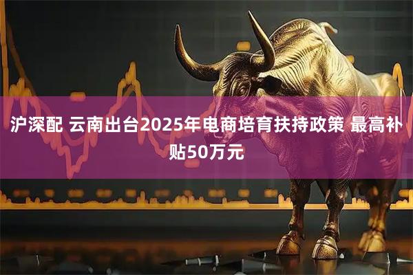 沪深配 云南出台2025年电商培育扶持政策 最高补贴50万元
